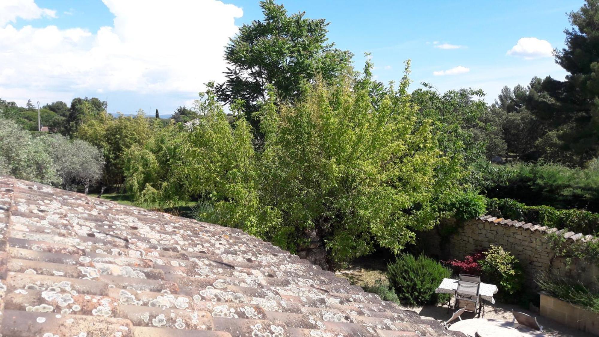 לינה וארוחת בוקר קרפנטרה Bastide Sainte Agnes מראה חיצוני תמונה